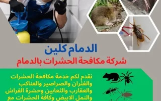 ارخص شركة مكافحة حشرات بالدمام