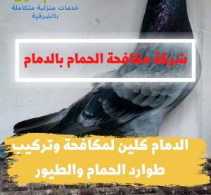 شركة مكافحة حمام بالدمام