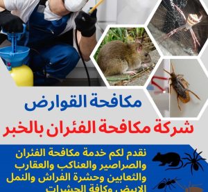 شركة مكافحة الفئران بالخبر 1 شركة مكافحة الفئران بالخبر