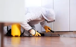 ارخص شركة مكافحة حشرات بجدة