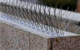 شركة تركيب طارد الحمام بالاحساء